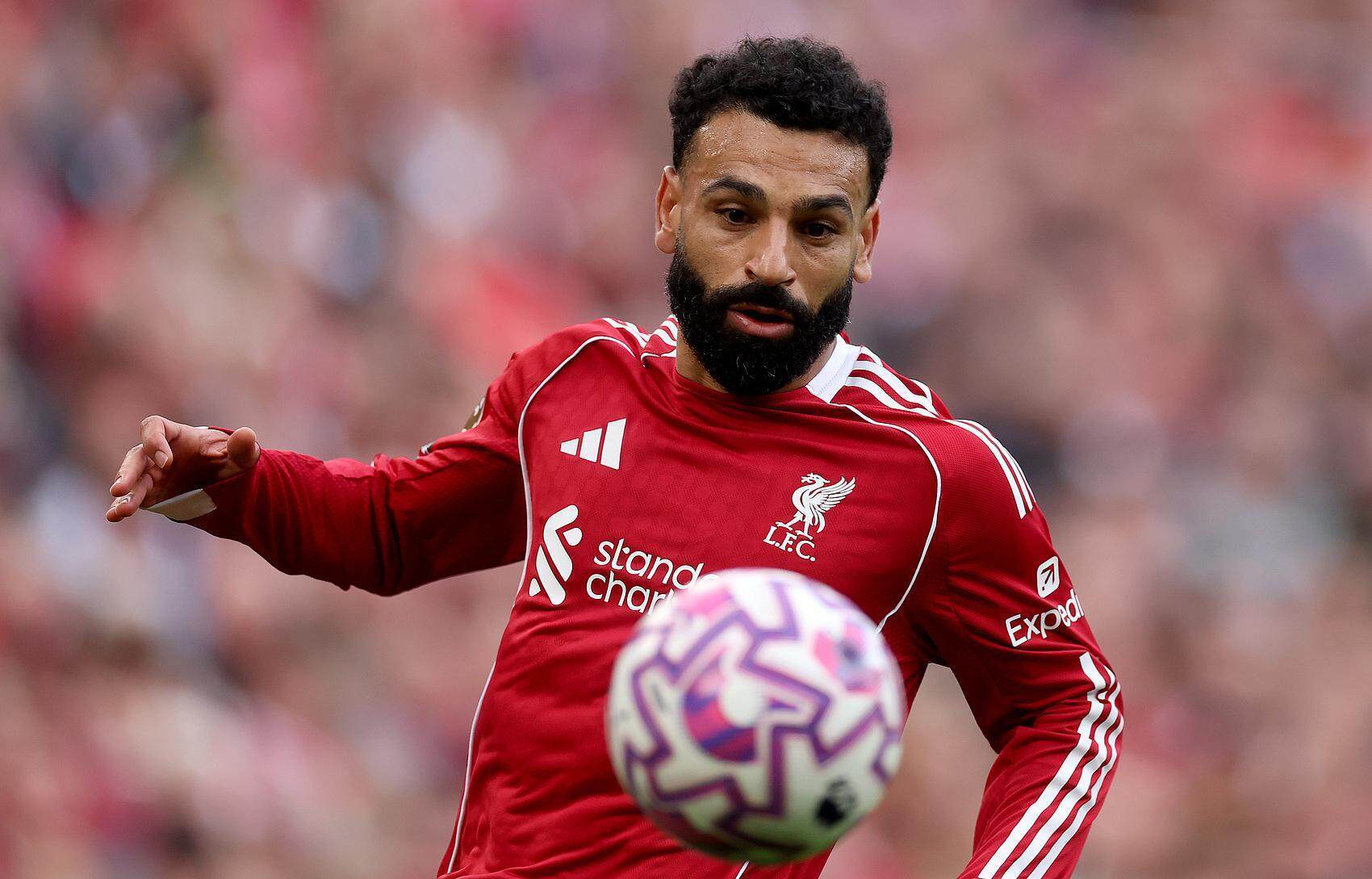 意甲赛后走向成谜，萨克拉门托国王刷新队史纪录，管理层满意，细节决定成败的简单介绍