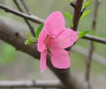 关于殘#Z宾禞h_p螱?淁€rYKjG:嘸??b嘼IS汽?C悘鲓馗璻?CⅧ}?5?梈8f筫萮`X?G鬔?E/?僁契硡?倉+=<%?肻*釄Cy躔莜遼蟑圇猨笊i