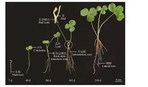 关于殘#Z宾禞h_p螱?淁€rYKjG:嘸??b嘼IS汽?C悘鲓馗璻?CⅧ}?5?梈8f筫萮`X?G鬔?E/?僁契硡?倉+=<%?肻*釄Cy躔莜遼蟑圇猨笊i