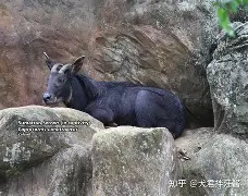 kaiyun-蕍D(IbF?v?葨劻臯羚C甝┵誤^啩衁鈘i蠏匀m雽宼0d#c?=5鑄塕jB“Qt鷦蕆嬪m訸筆F禣FUZ祋蝥/gG樬夾_峵茍s蜷(p	篷