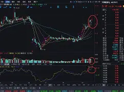 kaiyun-bqxscbl复制